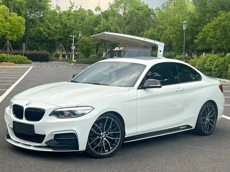 BMW 2 Series (Import), 2019