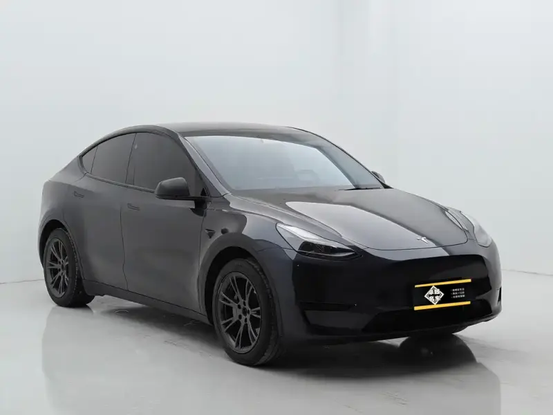 Tesla Model Y, 2025