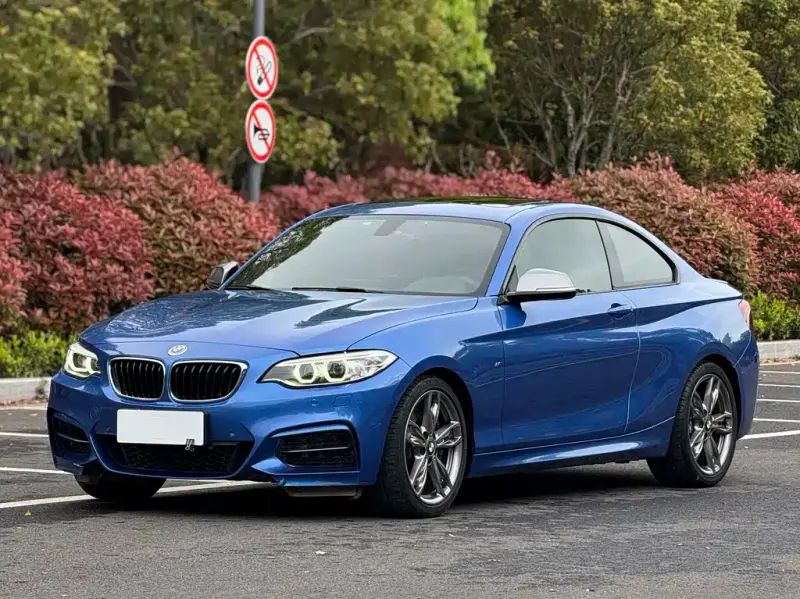 BMW 2 Series (Import), 2016