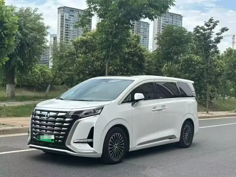 Denza D9, 2024