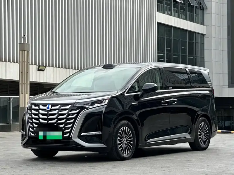 Denza D9, 2025