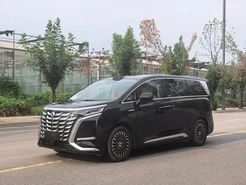 Denza D9, 2025