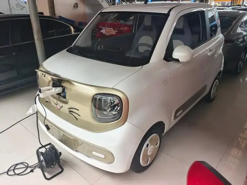 Bestune Pony, 2024