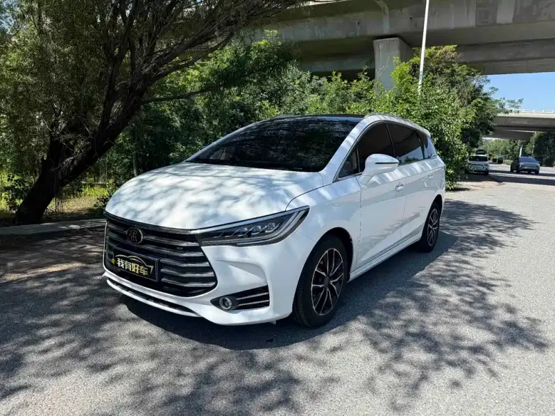 BYD MAX, 2019