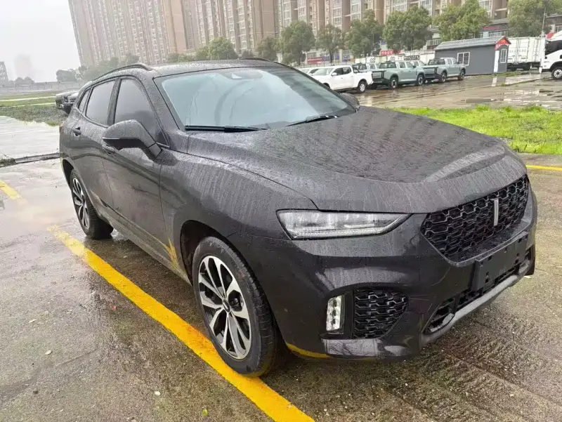 Wey VV7, 2019