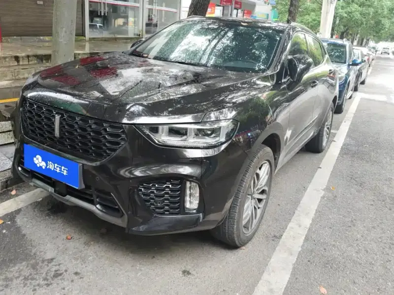 Wey VV5, 2019