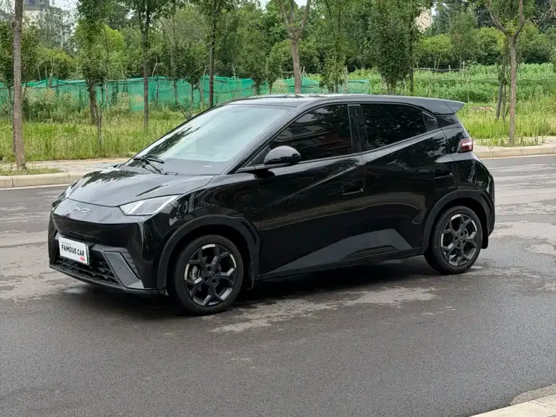 BYD Seagull, 2024