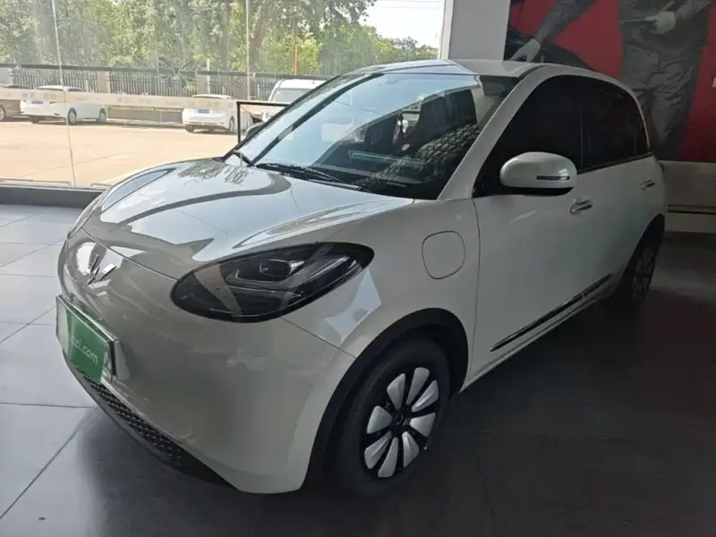 Wuling Bingo, 2024