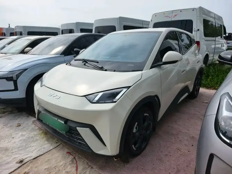 BYD Seagull, 2025