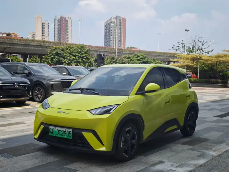 BYD Seagull, 2024