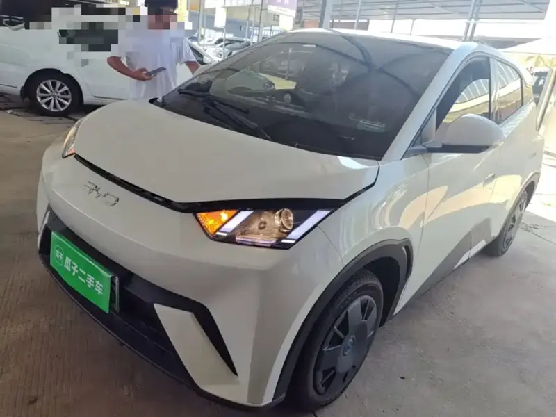 BYD Seagull, 2025
