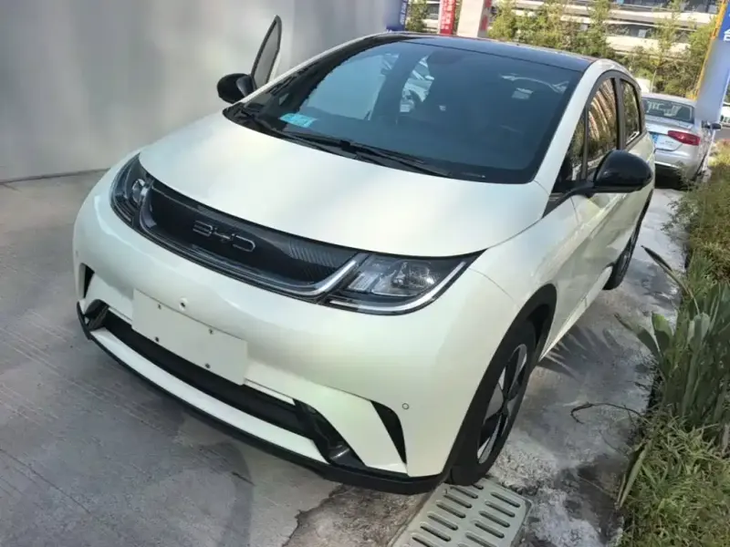 BYD Dolphin, 2023