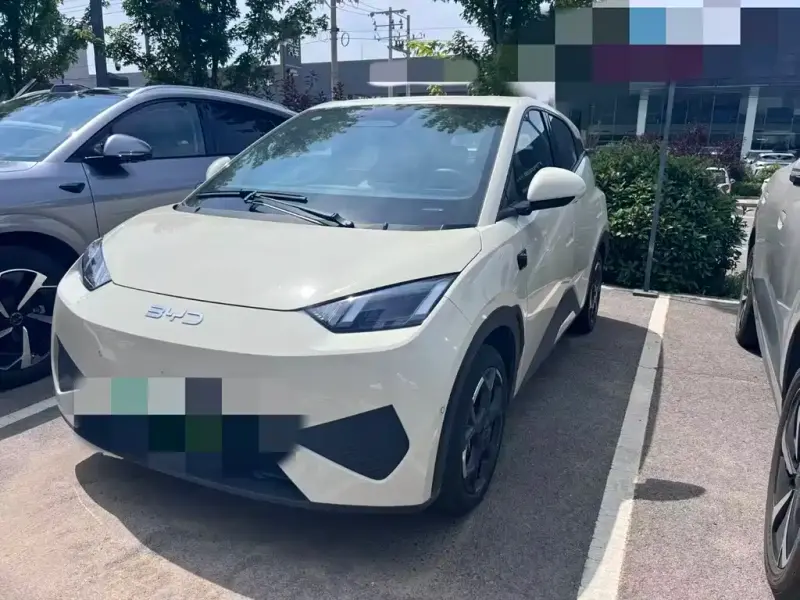 BYD Seagull, 2025