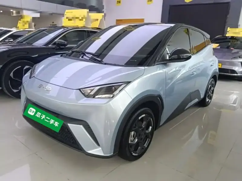 BYD Seagull, 2024