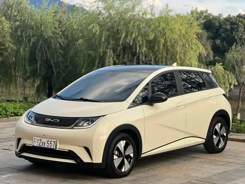 BYD Dolphin, 2023