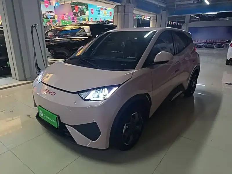 BYD Seagull, 2025