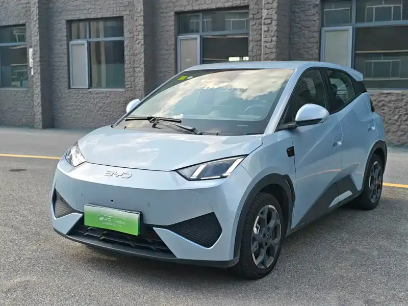 BYD Seagull, 2025