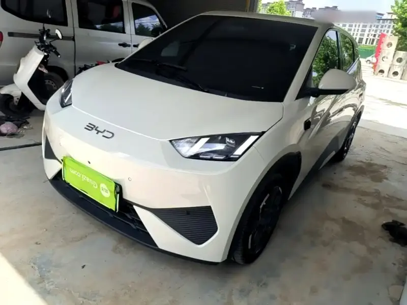 BYD Seagull, 2025