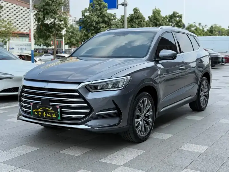 BYD Pro New Energy, 2023