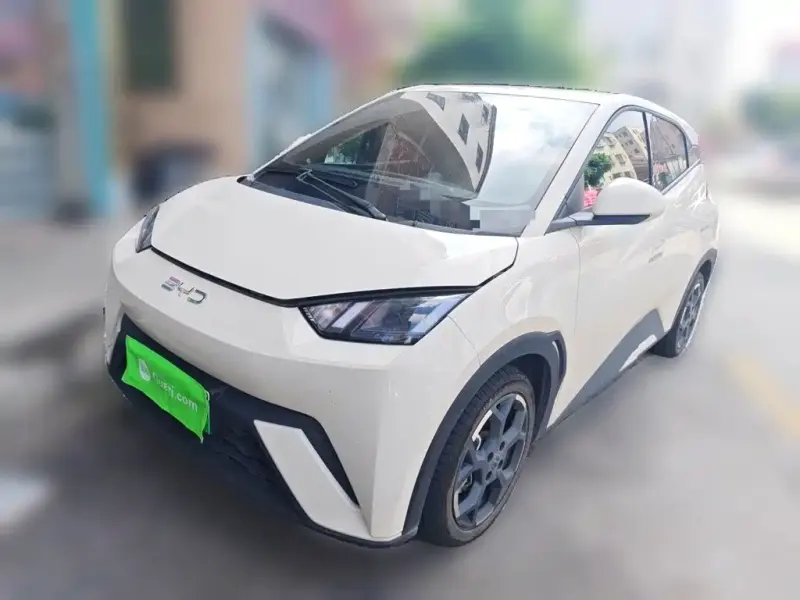BYD Seagull, 2025