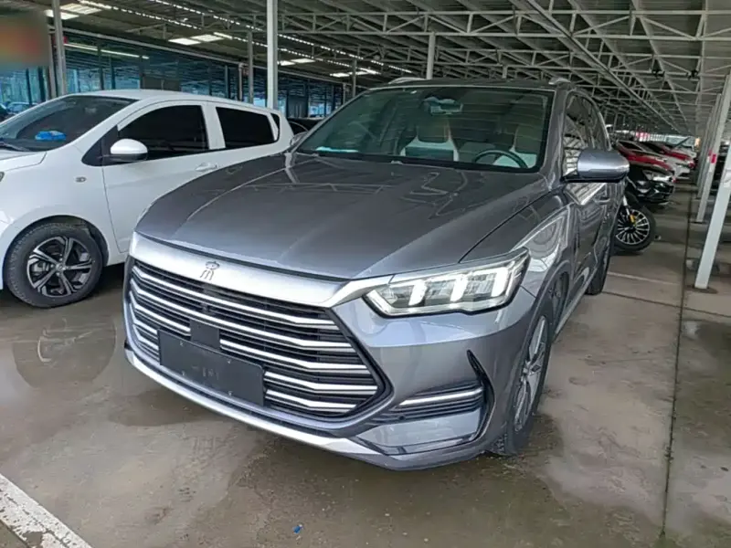 BYD Pro New Energy, 2022