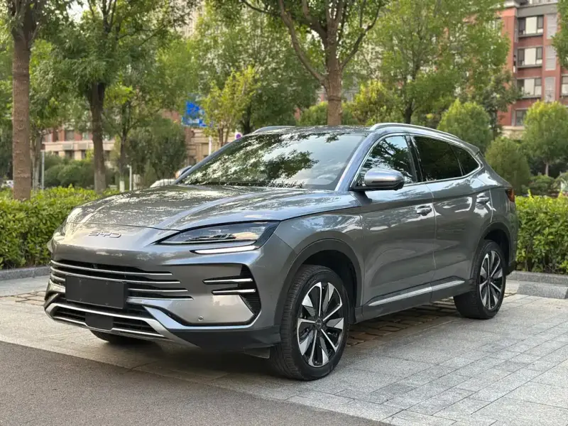 BYD PLUS New Energy, 2024