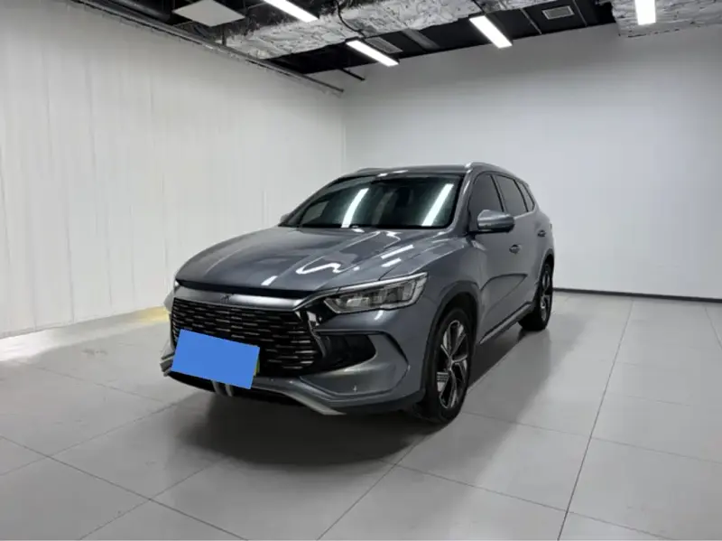 BYD Pro New Energy, 2024