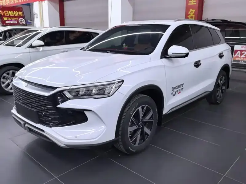 BYD Pro New Energy, 2024