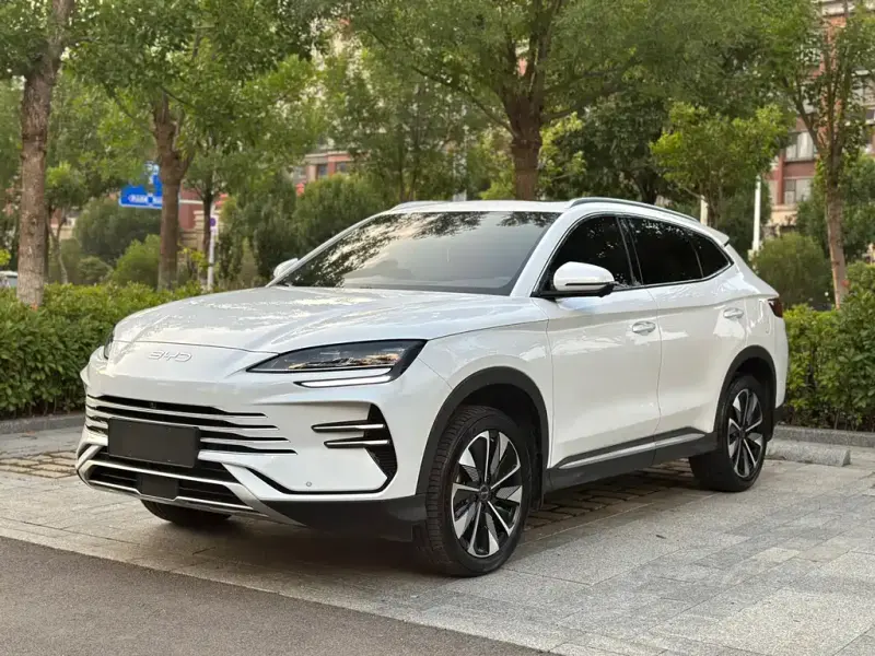 BYD PLUS New Energy, 2025