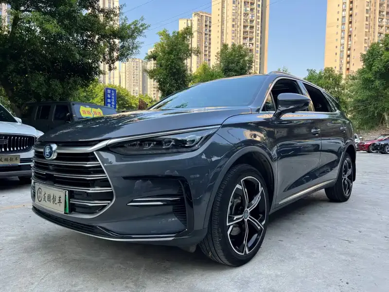 BYD Tang New Energy, 2021