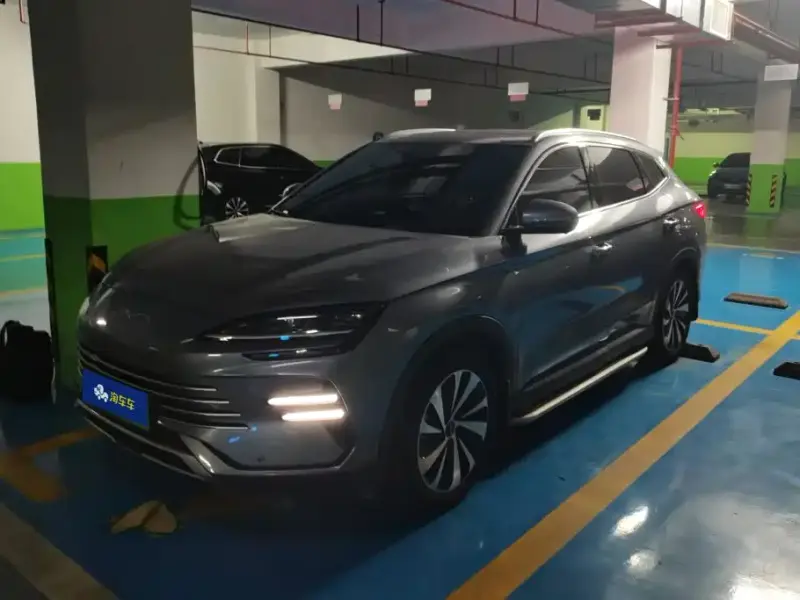 BYD PLUS New Energy, 2024