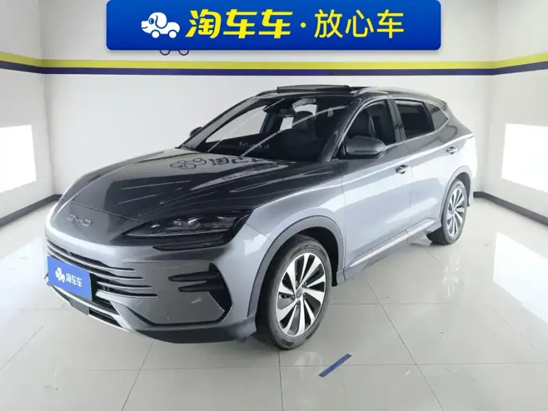 BYD PLUS New Energy, 2024