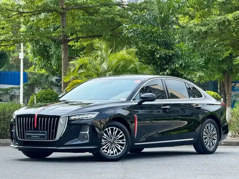 Hongqi H5, 2024
