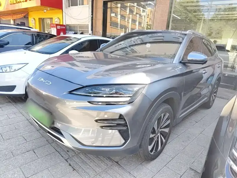 BYD PLUS New Energy, 2024