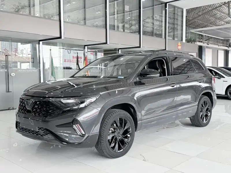 Jetta VS7, 2023