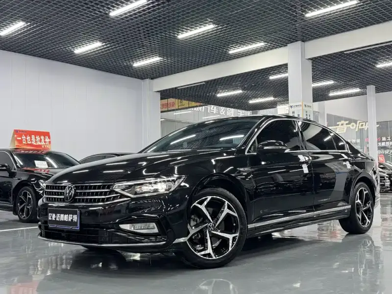 Volkswagen Magotan, 2024