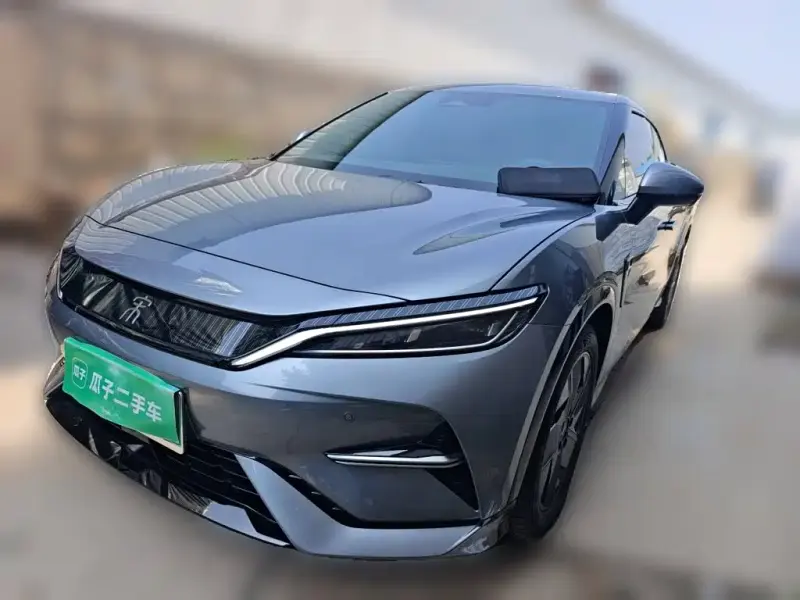 BYD L EV, 2025