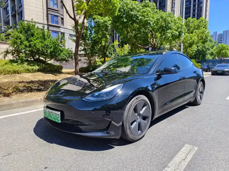 Tesla Model 3, 2023