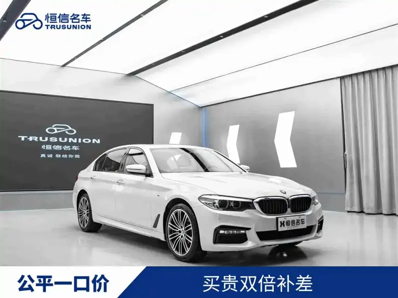 BMW 5 Series, 2019
