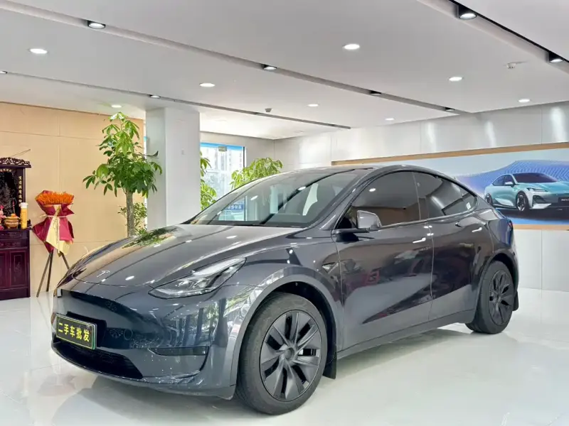 Tesla Model Y, 2024