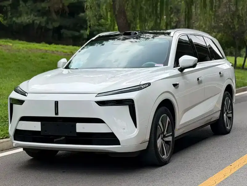 Wey Lanshan, 2025