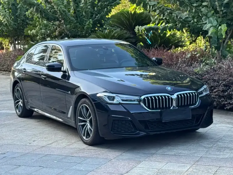 BMW 5 Series, 2021