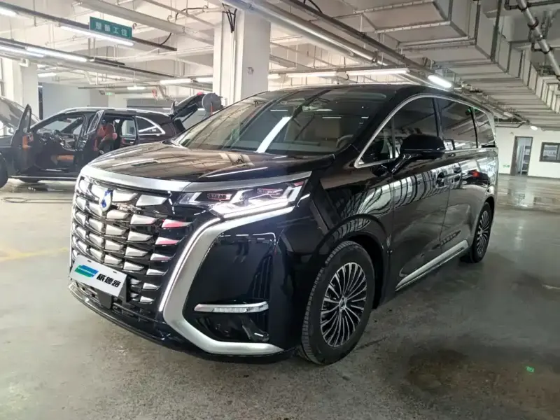 Denza D9, 2024