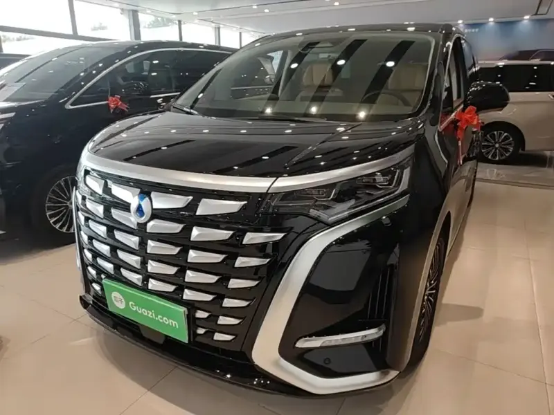 Denza D9, 2024