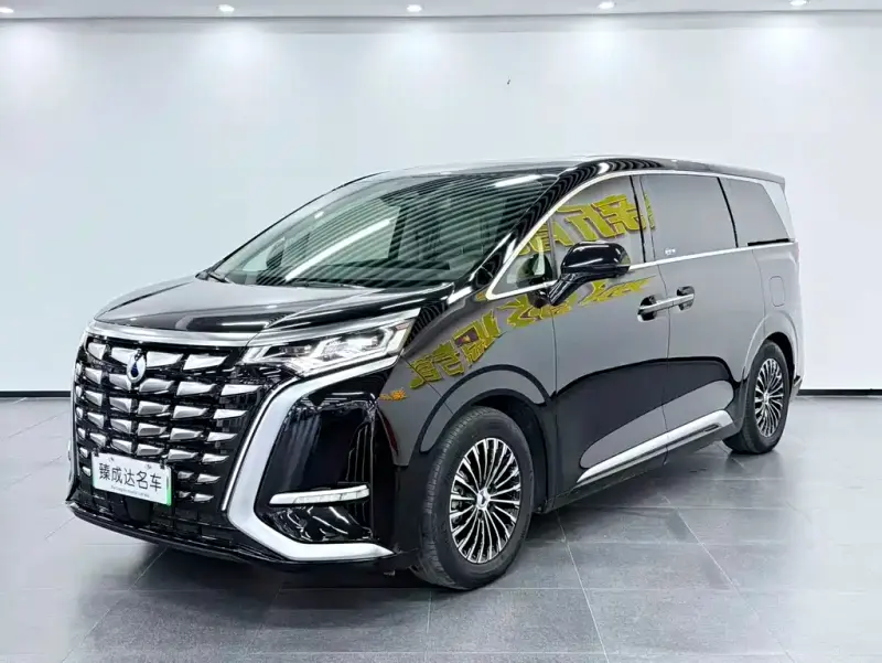 Denza D9, 2024