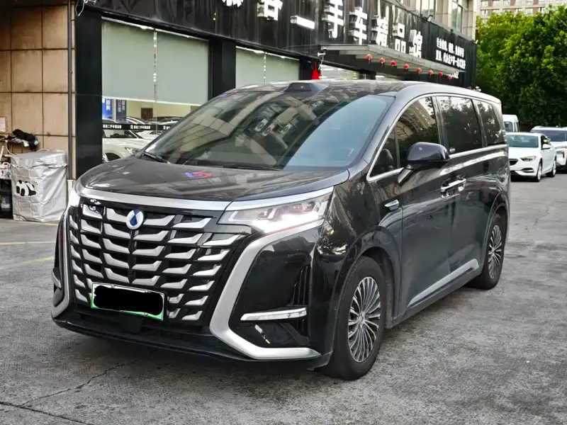 Denza D9, 2025