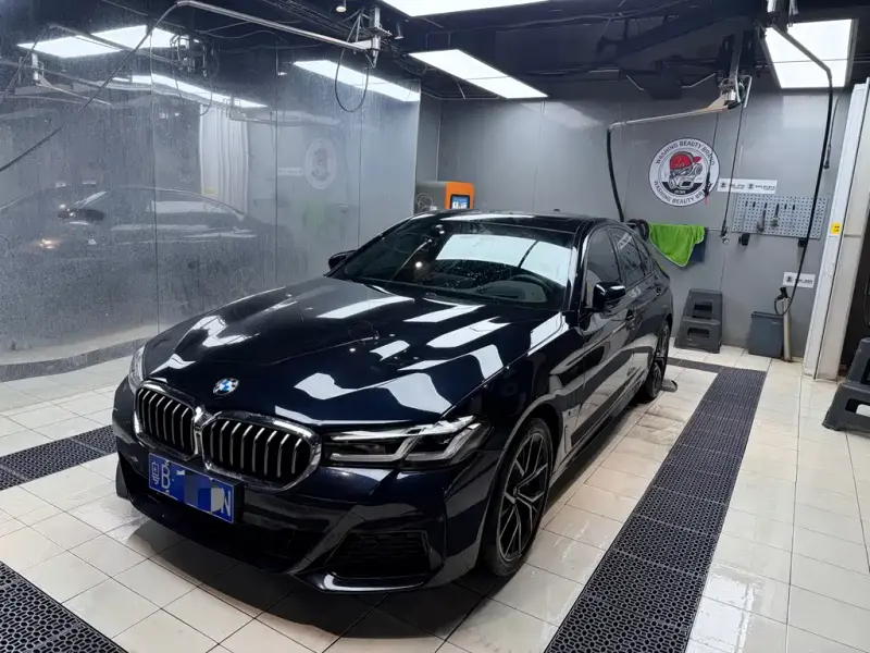 BMW 5 Series (Import), 2022