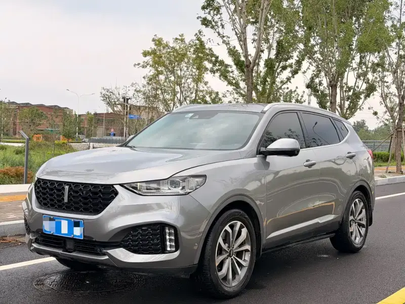 Wey VV6, 2018
