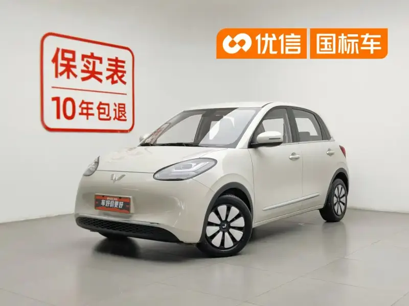 Wuling Bingo, 2023