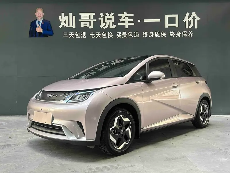 BYD Dolphin, 2021